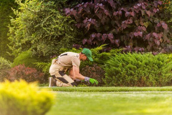 Landscaper