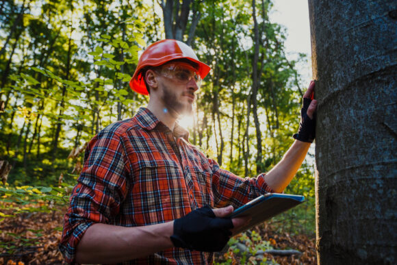The Importance of Regular Tree Inspections: How Arborists Can Help Keep ...